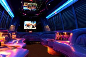 madison wi party bus